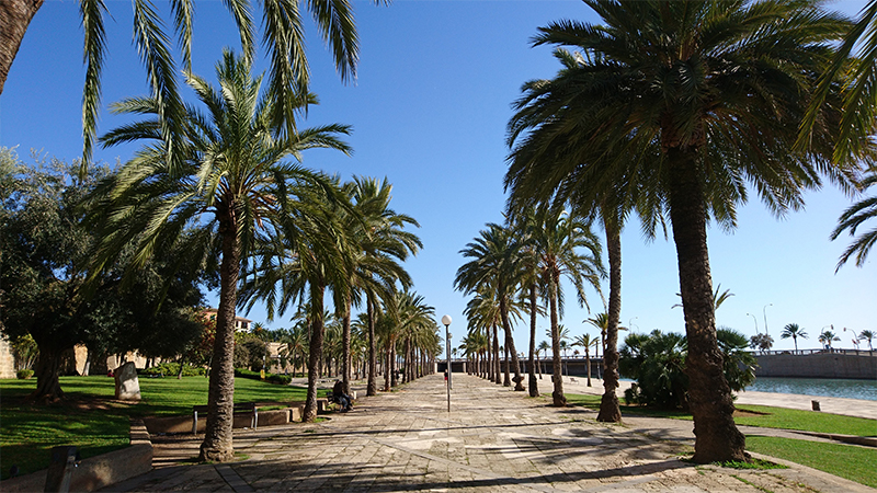 Entfliehen Sie der Stadt Palma de Mallorca